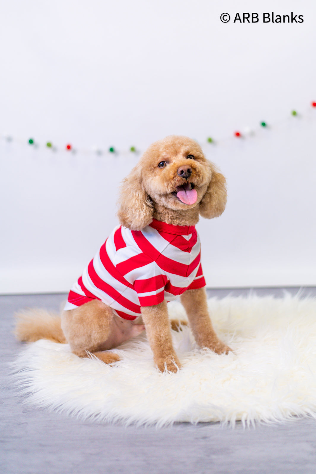 CHRISTMAS: Red &amp; White Striped Collection