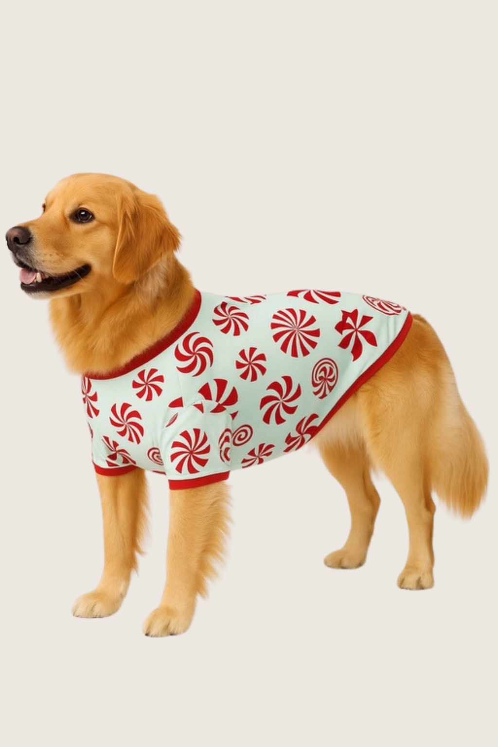 Dog Pajama Christmas PRE-ORDER 2025 - in 5 styles