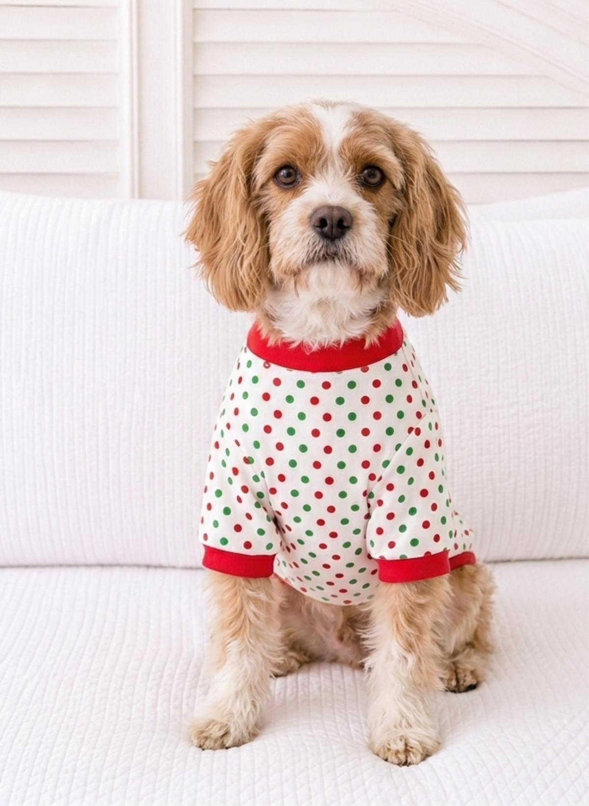 Christmas Dog Pajamas – PRE-ORDER | Merry Dot, Jolly Stripes & Yuletide Toile | Sizes XS–XXXL