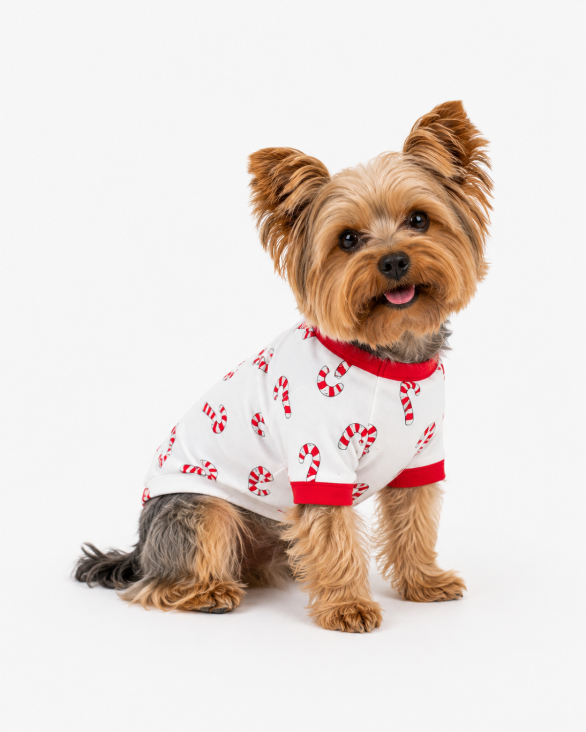 Christmas dog pajamas —  holiday dog pajama, size XS–XXXL, cotton — ARB Blanks matching family Christmas