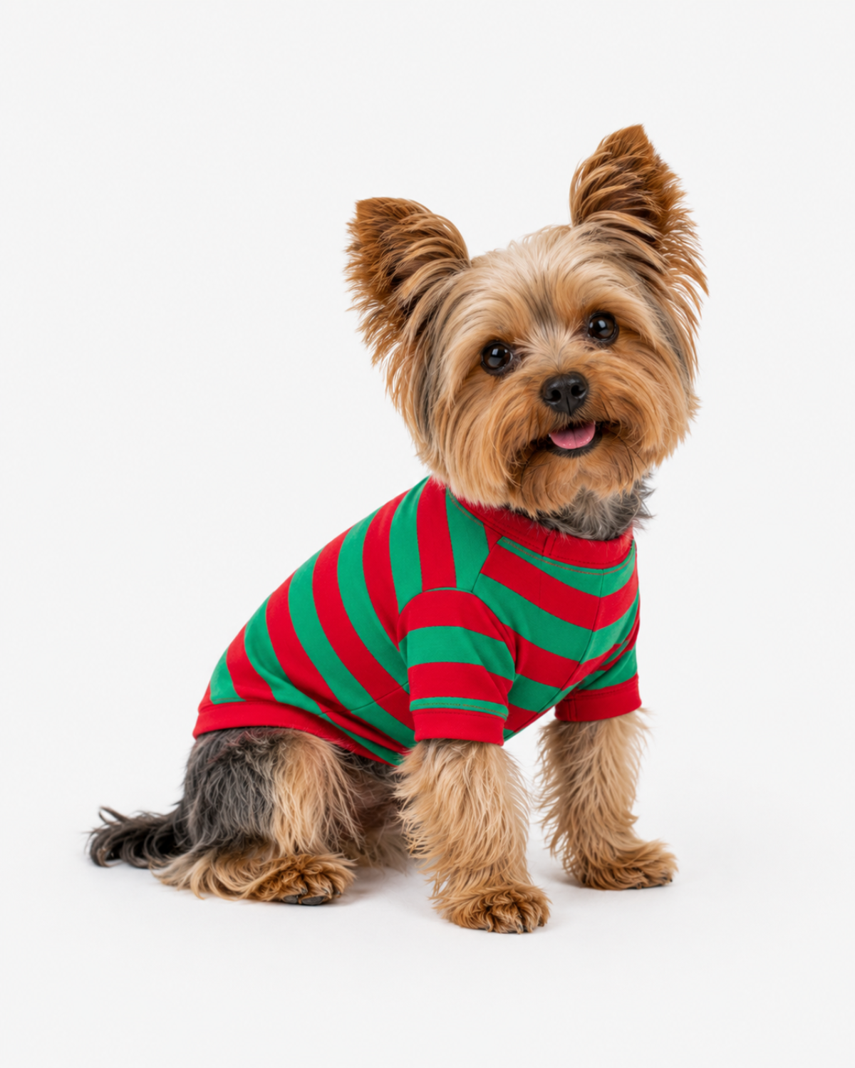 Red and green striped Christmas dog pajama, ARB Blanks, sizes XS to XXXL cotton holiday dog outfit