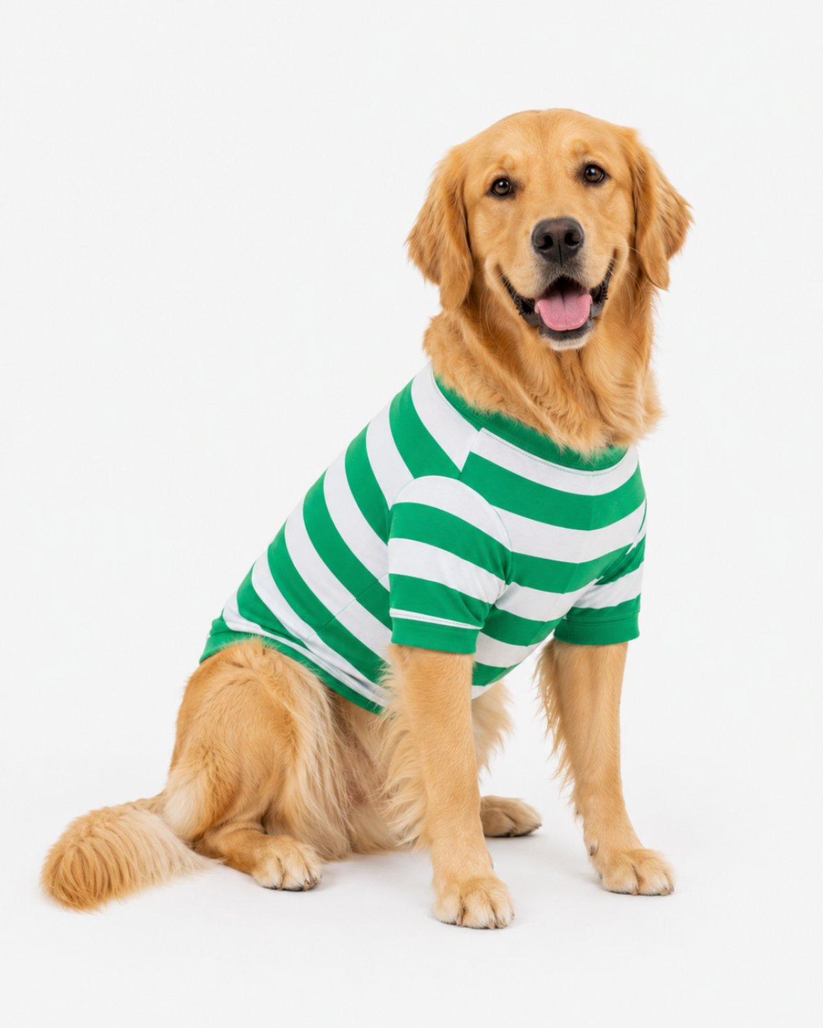 Christmas dog pajamas — green and white striped holiday dog pajama, size XS–XXXL, cotton — ARB Blanks matching family Christmas