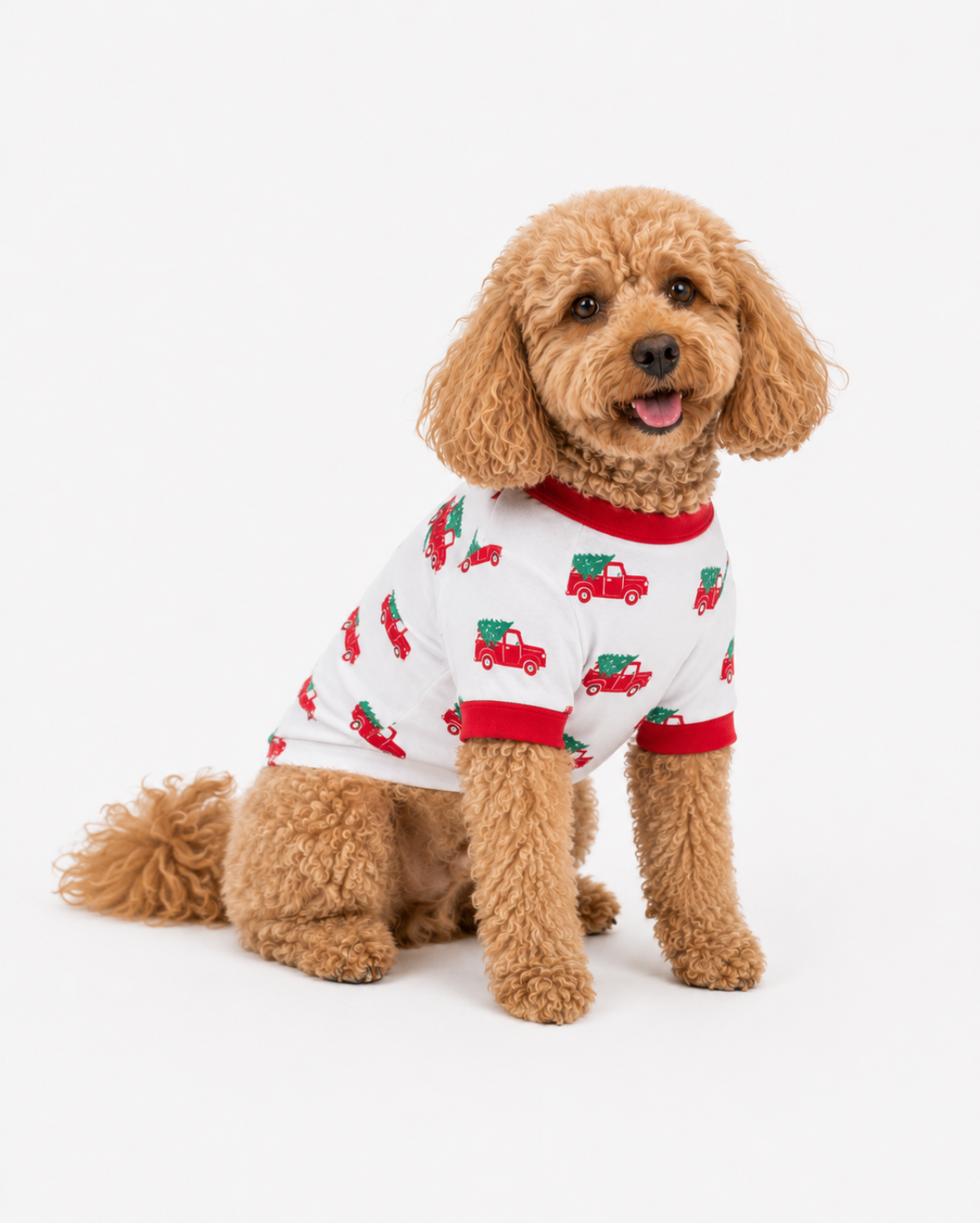 Christmas dog pajamas —holiday dog pajama, size XS–XXXL, cotton — ARB Blanks matching family christmas