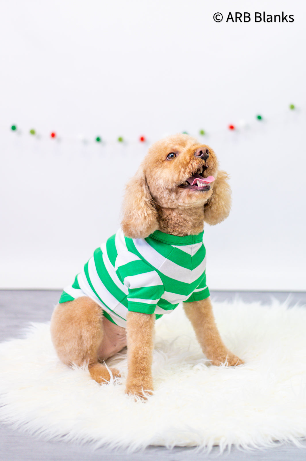 Dog Pajama Christmas PRE-ORDER 2025 - in 5 styles