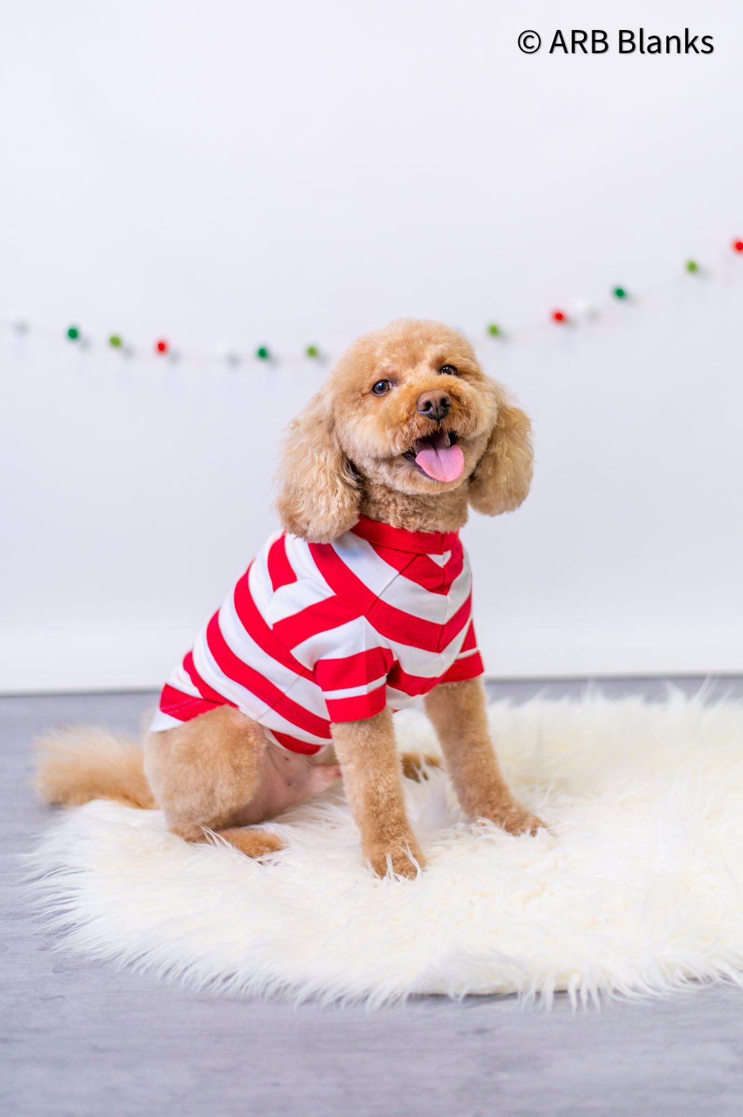 Dog Pajama Christmas PRE-ORDER 2025 - in 5 styles