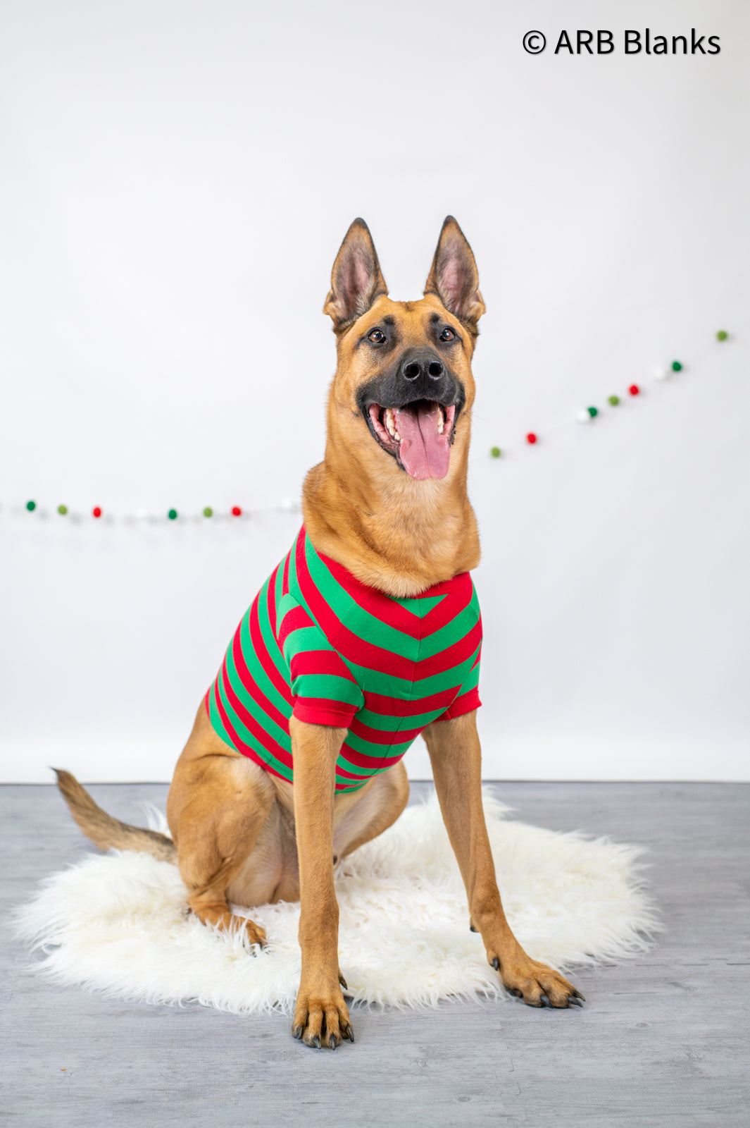 Dog Pajama Christmas PRE-ORDER 2025 - in 5 styles