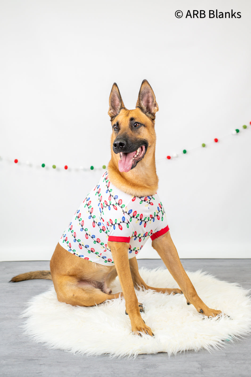 Dog Pajama Christmas PRE-ORDER 2025 - in 5 styles
